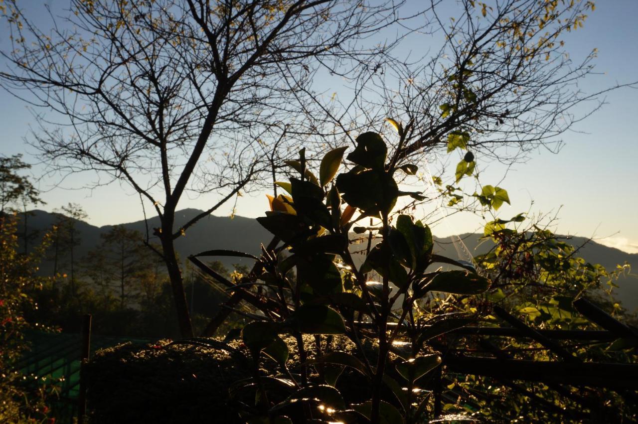 Chintapu Homestay In Ilam, Eastern Nepal Eksteriør billede