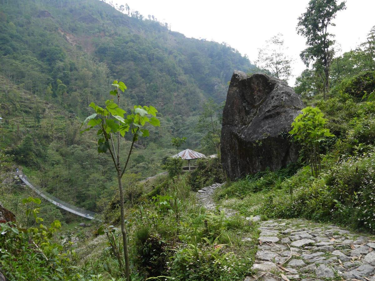 Chintapu Homestay In Ilam, Eastern Nepal Eksteriør billede